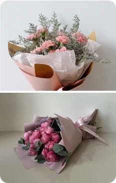 Urban Bloom