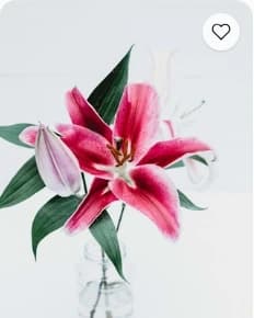 Букет «White Garden» из садовых роз